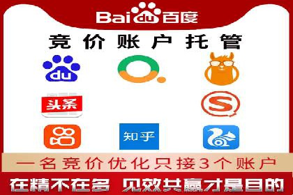 竞价端口开户后的广告投放策略案例